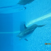 Picture 128